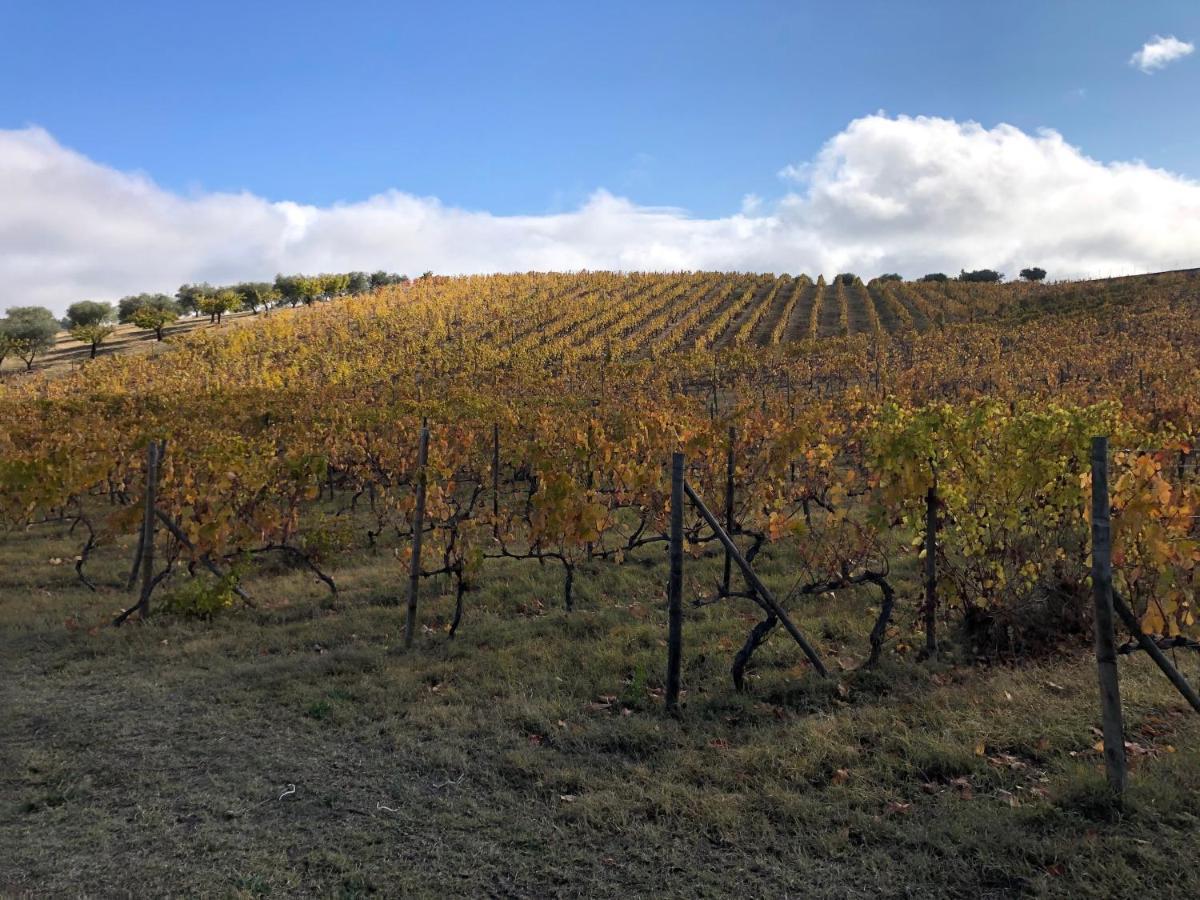 Готель Quinta Da Pereira E Enricas Agro-Turismo Віла-Флор Екстер'єр фото