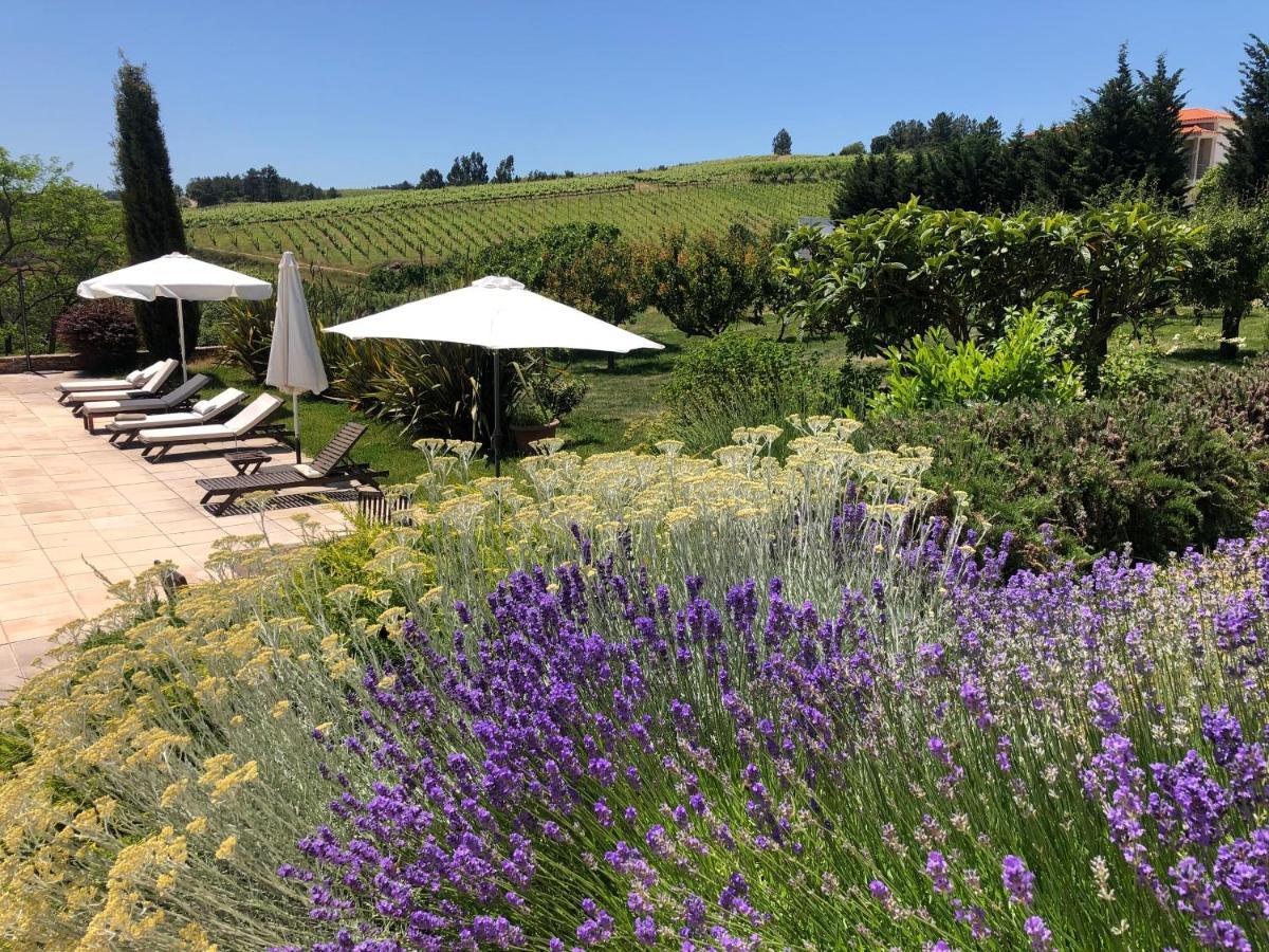 Готель Quinta Da Pereira E Enricas Agro-Turismo Віла-Флор Екстер'єр фото