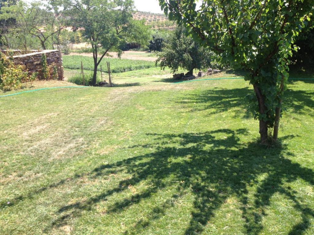 Готель Quinta Da Pereira E Enricas Agro-Turismo Віла-Флор Екстер'єр фото
