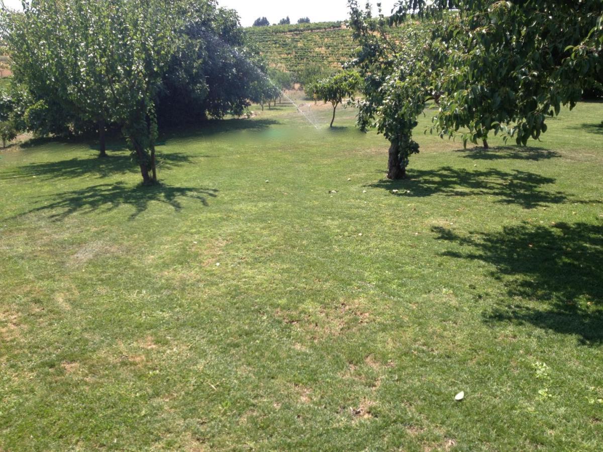 Готель Quinta Da Pereira E Enricas Agro-Turismo Віла-Флор Екстер'єр фото
