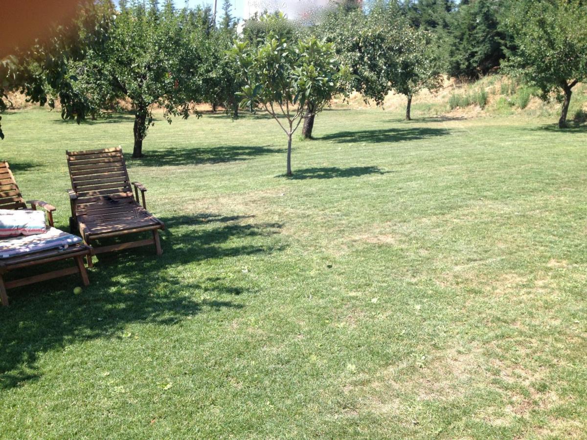 Готель Quinta Da Pereira E Enricas Agro-Turismo Віла-Флор Екстер'єр фото